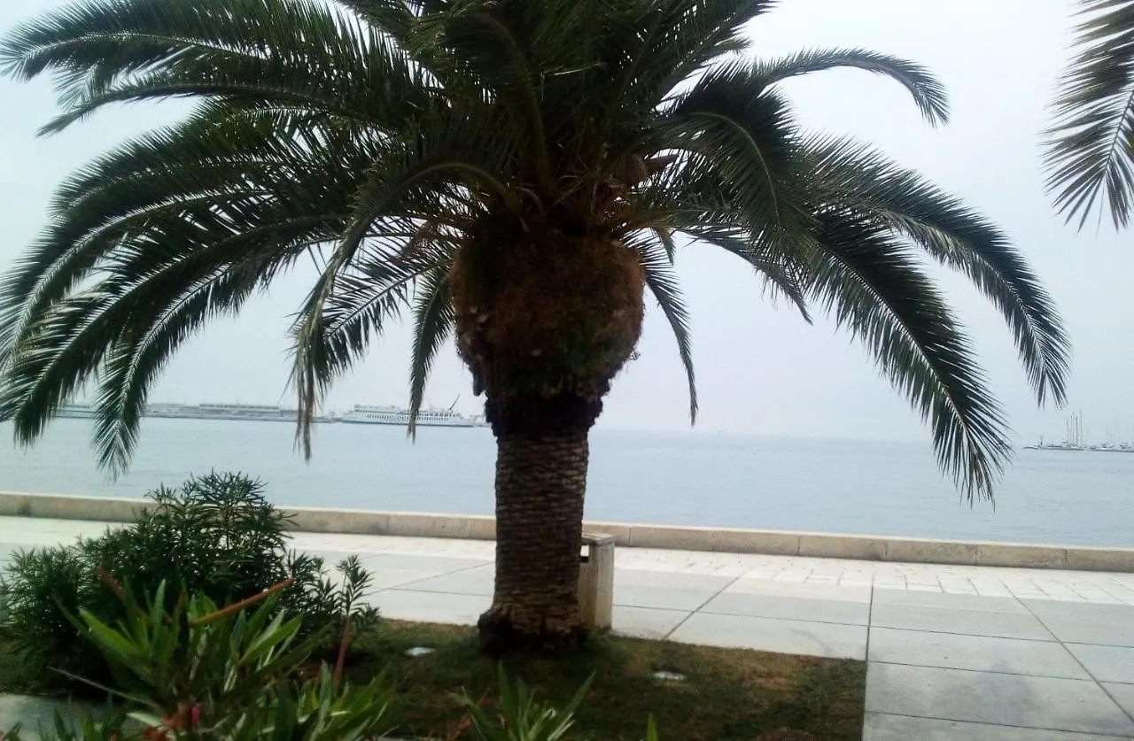 Elly Apartments Split Croatia